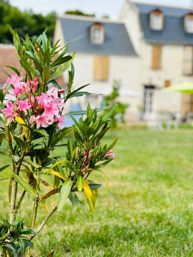 The Ronsardienne Suite In A Charming Mansion At The Gates Of Tours Saint-Avertin Buitenkant foto